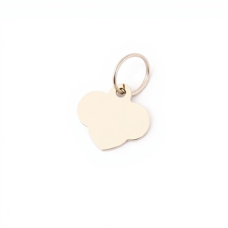 Replacement Pet Tag product photo